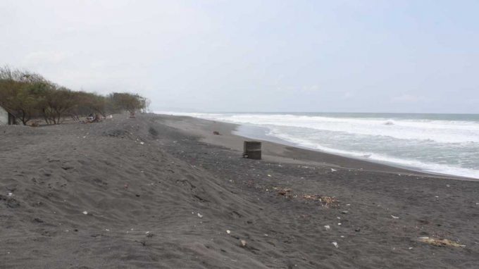Pantai Pandansimo Rute Menuju Lokasi Dan Harga Tiket Masuk