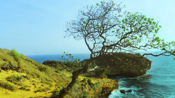 Pantai Kesirat Rute Menuju Lokasi Dan Harga Tiket Masuk