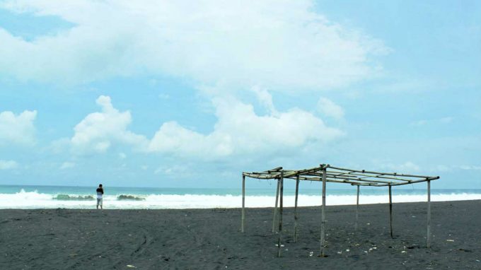 Hasil gambar untuk pantai trisik