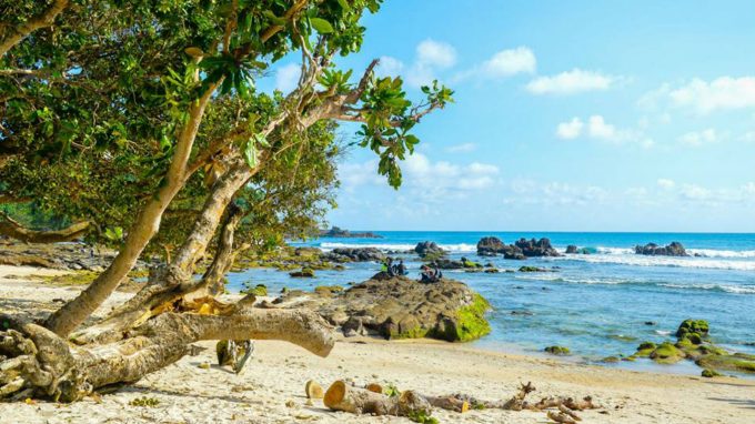  Pantai Wediombo  Rute Menuju Lokasi dan Harga Tiket Masuk