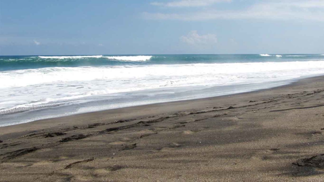 Pantai Canggu