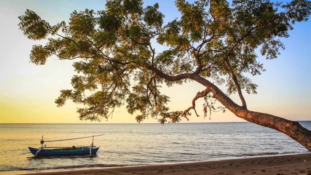 8 Rekomendasi Wisata Pantai 🏖️ di Situbondo, Jawa Timur