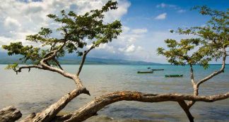 harga tiket masuk teluk ijo Pantai Wane Rute Menuju Lokasi dan Harga Tiket Masuk harga tiket masuk teluk ijo Pantai Wane Rute Menuju Lokasi dan Harga Tiket Masuk