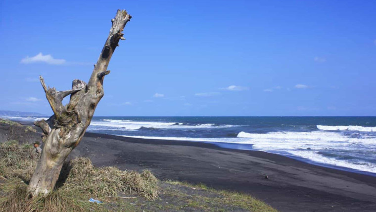 pantai-goa-cemara