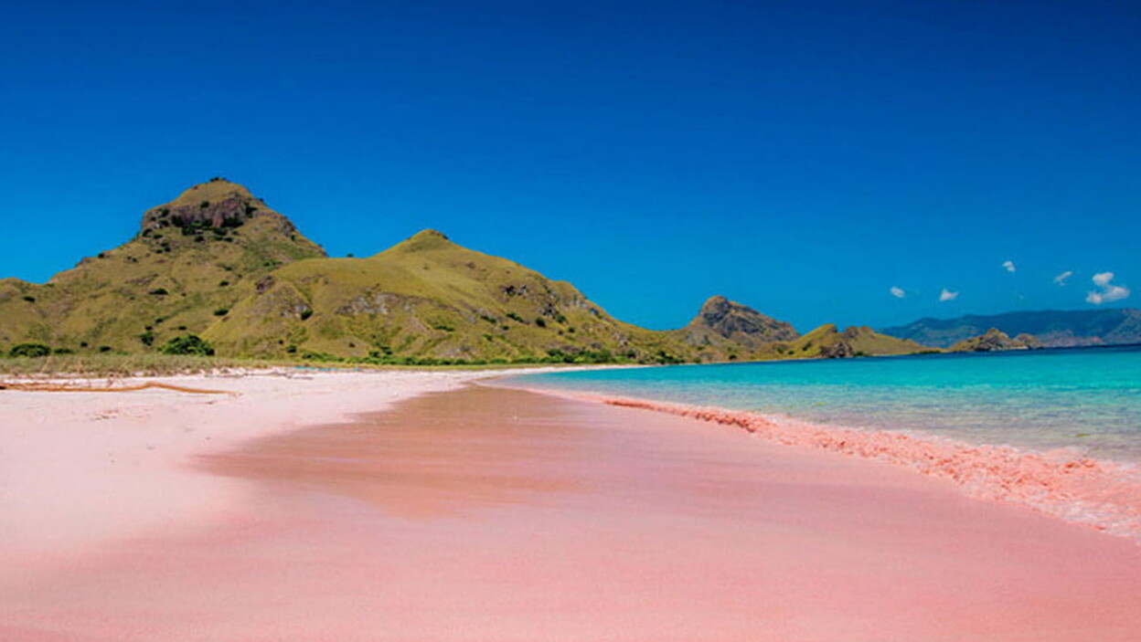 Pantai Pink