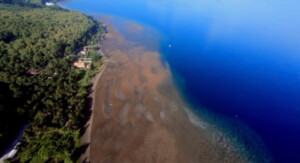 Pantai Pasir Putih 🏖️ HTM, Rute, Foto & Ulasan Pengunjung