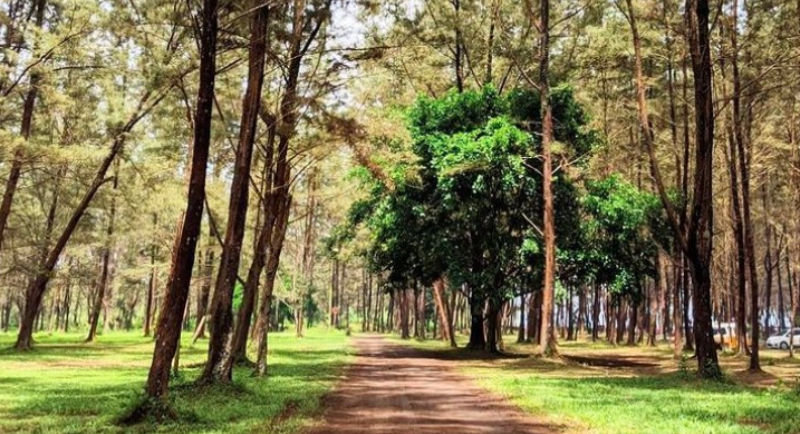 Pantai Lamaru Htm Rute Foto Ulasan Pengunjung