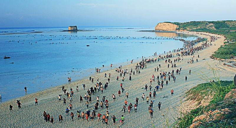Bau Nyale Di Pantai Seger Lombok Bau Nyale Di Pantai Seger Lombok