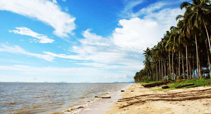 Pantai-Kijing-Mempawah Pantai Kijing Mempawah