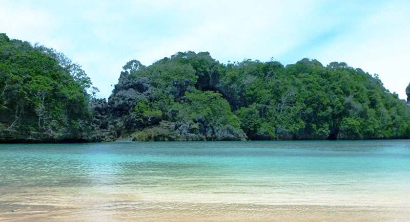 Pulau Sempu Di Pantai Sendang Biru