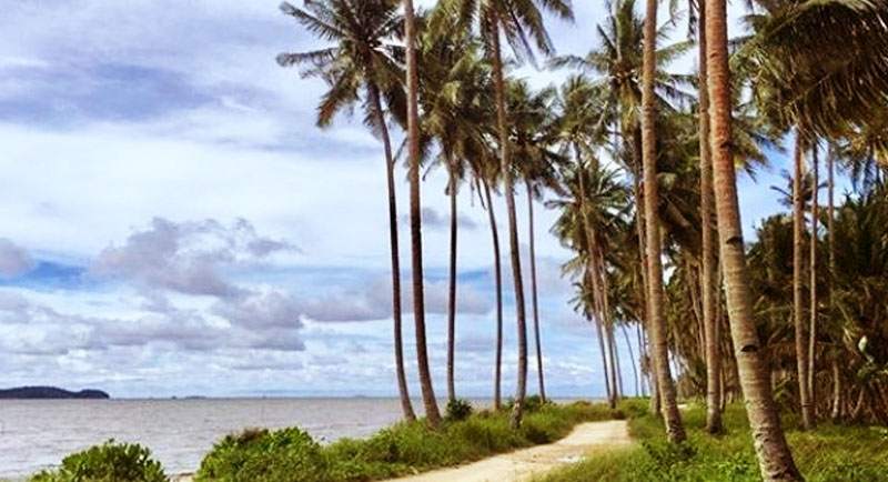 Wisata-Pantai-Kijing Wisata Pantai Kijing
