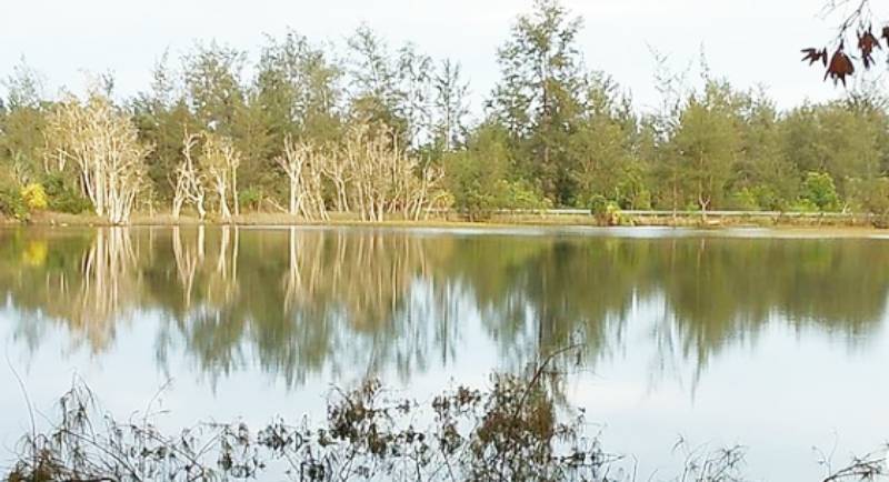 Rute Ke Pantai Tambak 1