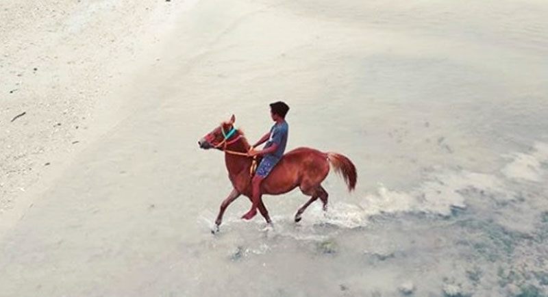 Naik-Kuda-di-Pantai-Londa-Lima Naik Kuda Di Pantai Londa Lima