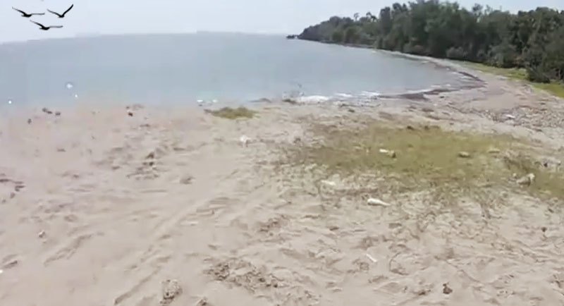 Obyek-Wisata-Pantai-Jatisari-Rembang Obyek Wisata Pantai Jatisari Rembang
