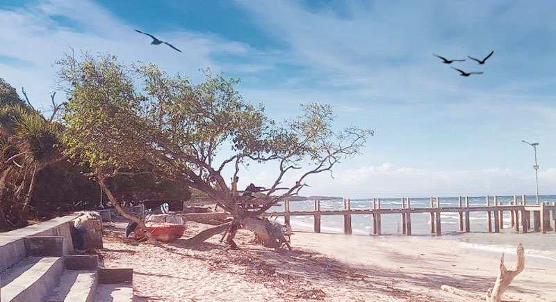 Pantai-Londa-Lima-Sumba Pantai Londa Lima Sumba