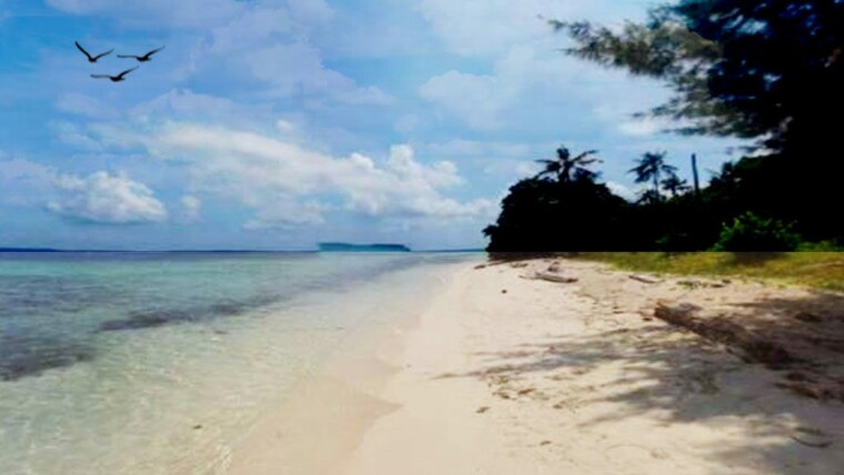 Pantai Pulau Sintok Karimunjawa Jepara