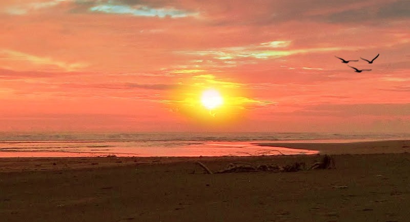Sunset Di Pantai Cipatujah