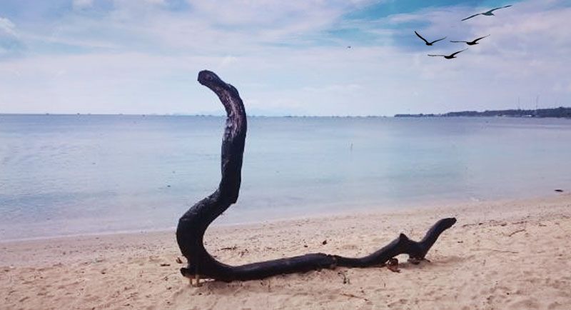 Wisata Pantai Embe Lampung Selatan