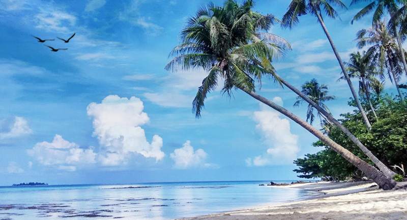 Pantai Pulau Menjangan Besar Karimunajwa
