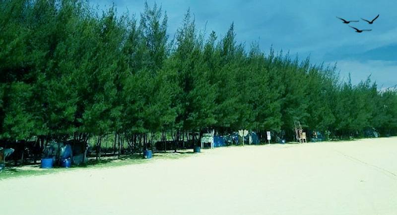 Wisata Pantai Karang Jahe Rembang