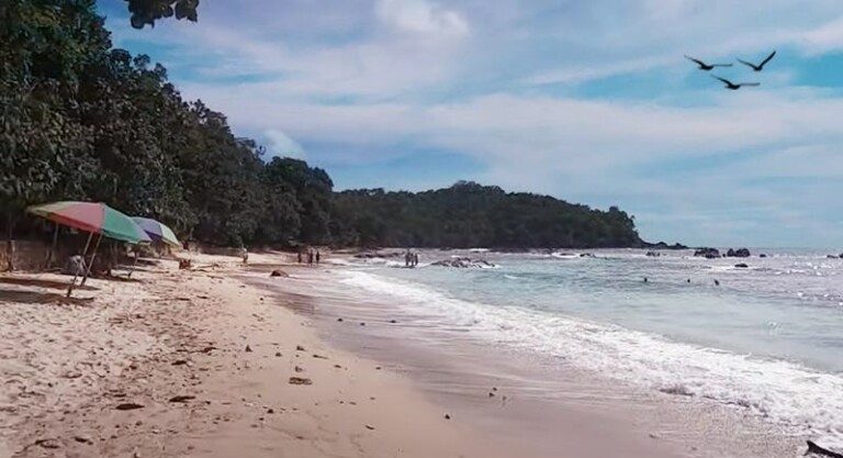 Tebing karst yang menjulang di sisi pantai Wediombo