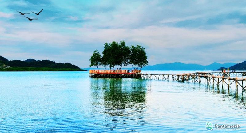 Pantai Dewi Mandapa Lampung