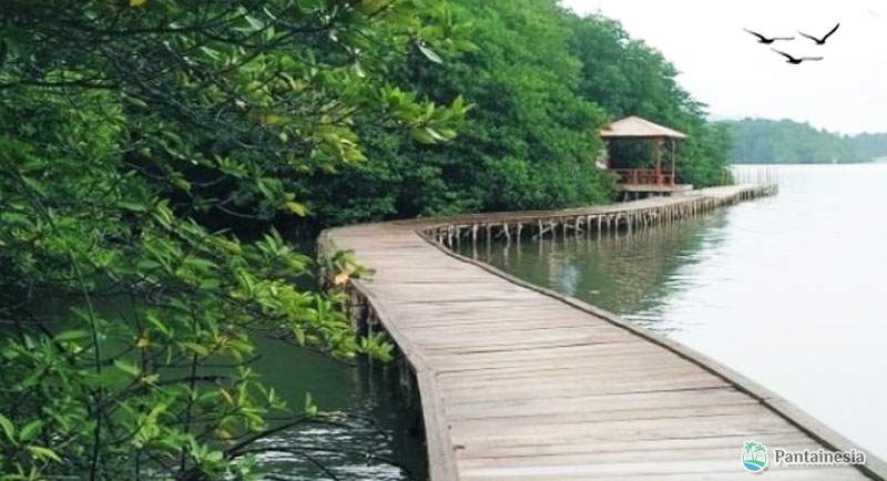 Pantai Dewi Mandapa Yang Indah