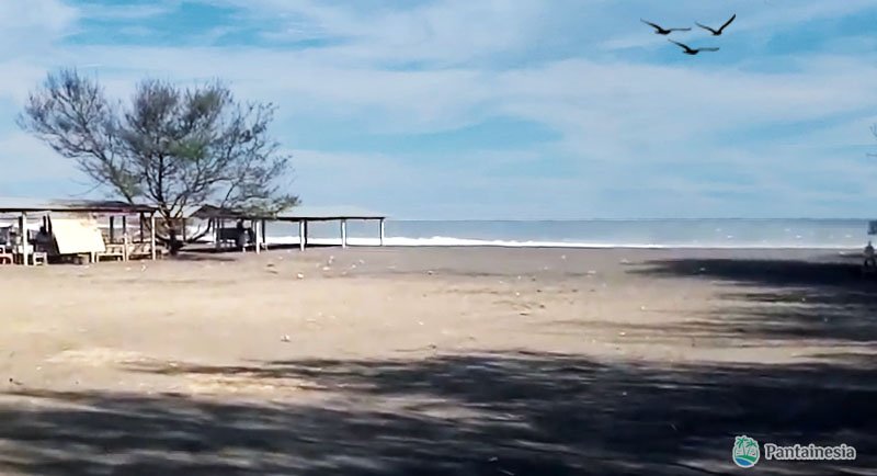 Pantai Trisik Kulonprogo