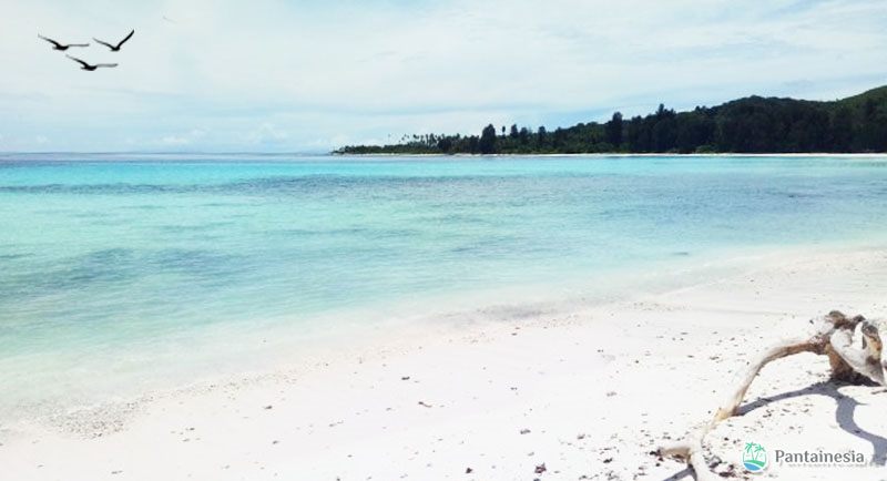 Pantai Jikumerasa Maluku