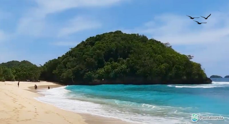 Pantai Teluk Asmoro Malang