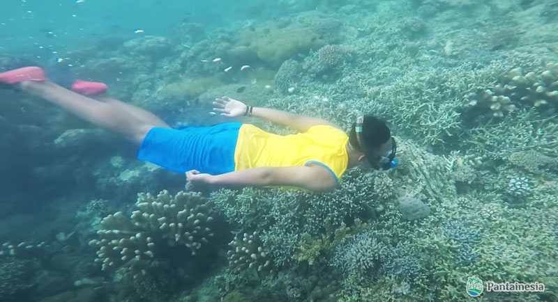 Snorkeling Di Pantai Santai Ambon
