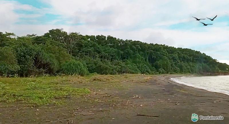 Pantai Banyutowo Di Jepara