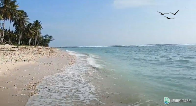 Pantai Way Jambu Pesisir