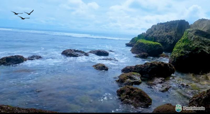 Destinasi Wisata Pantai Karang Bolong Malang