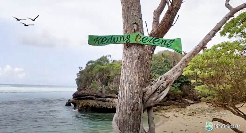 Pantai Kedung Celeng Di Malang