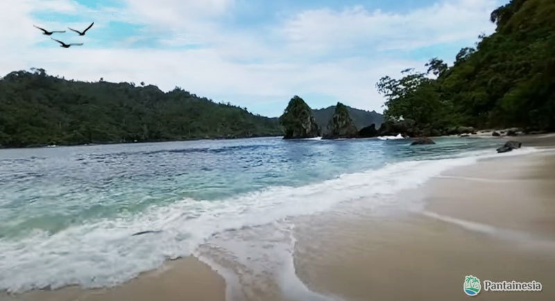 Pantai Wedi Putih Malang Selatan